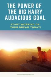 The power of the Big Hairy Audacious Goal