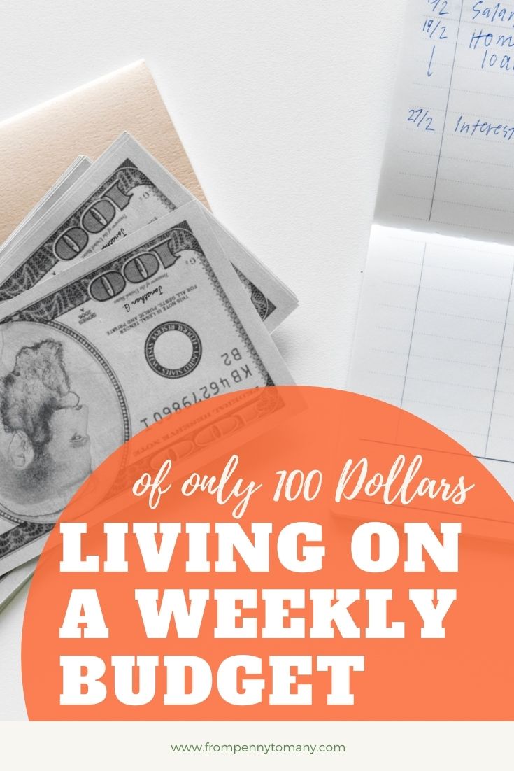 Living on a WEEKLY BUDGET of only 100 Dollars | From Penny to Many