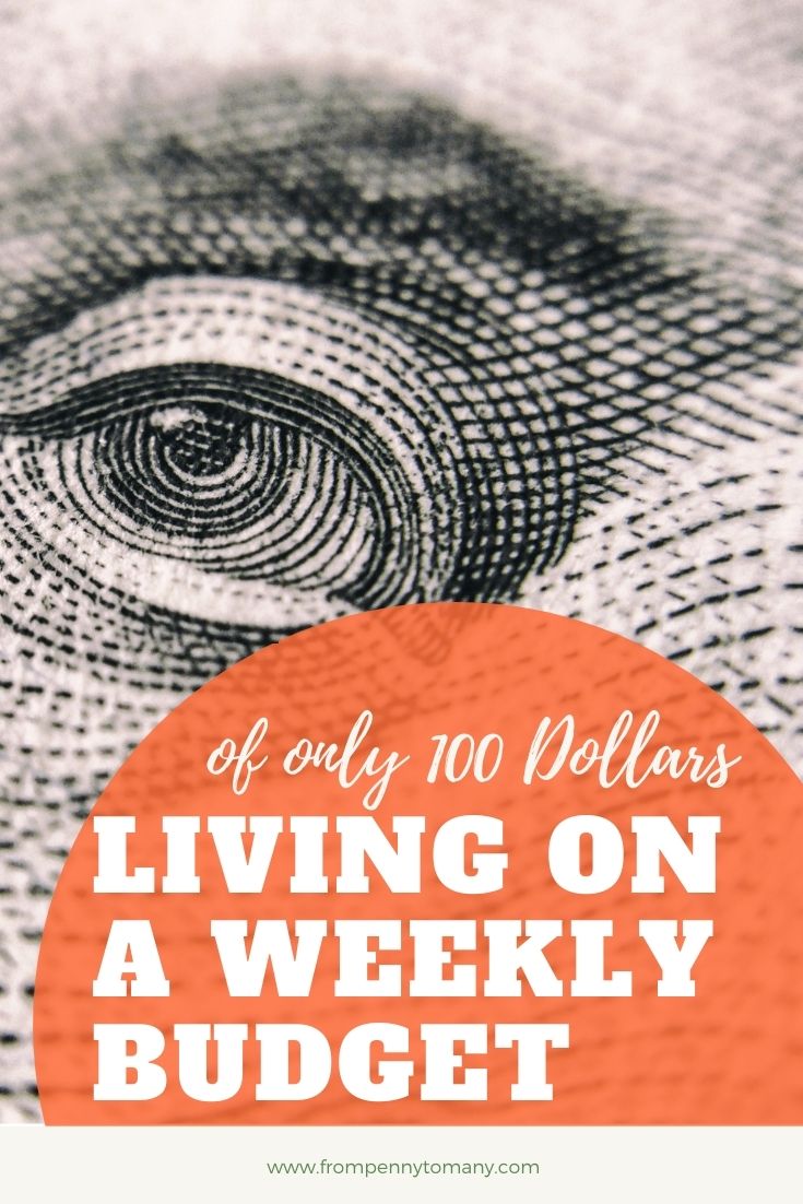 Living on a WEEKLY BUDGET of only 100 Dollars | From Penny to Many
