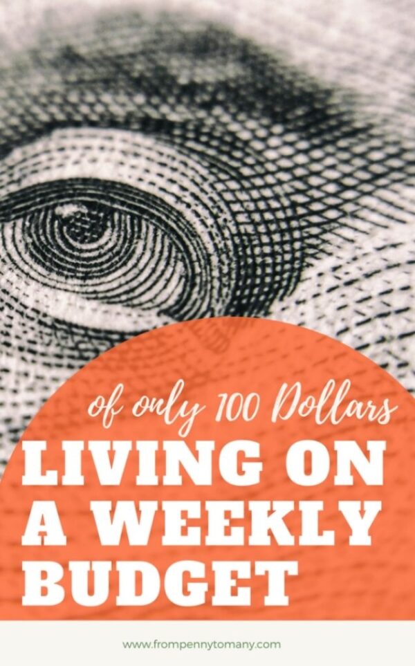 Living on a weekly budget of only 100 Dollars