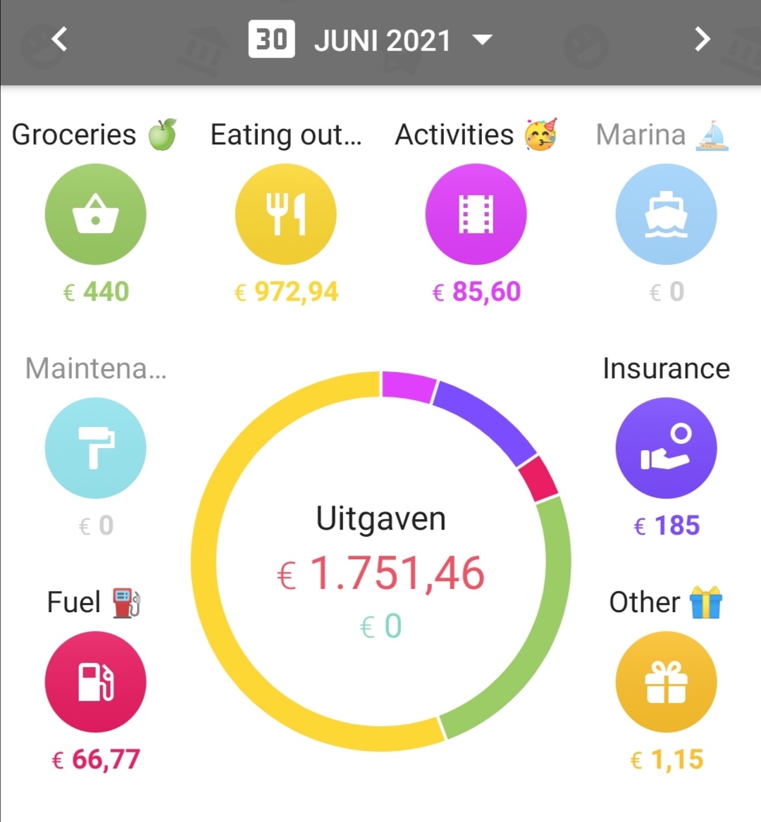 Screenshot monthly expenses June